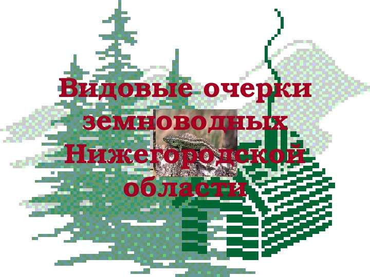 


Видовые очерки земноводных Нижегородской области
