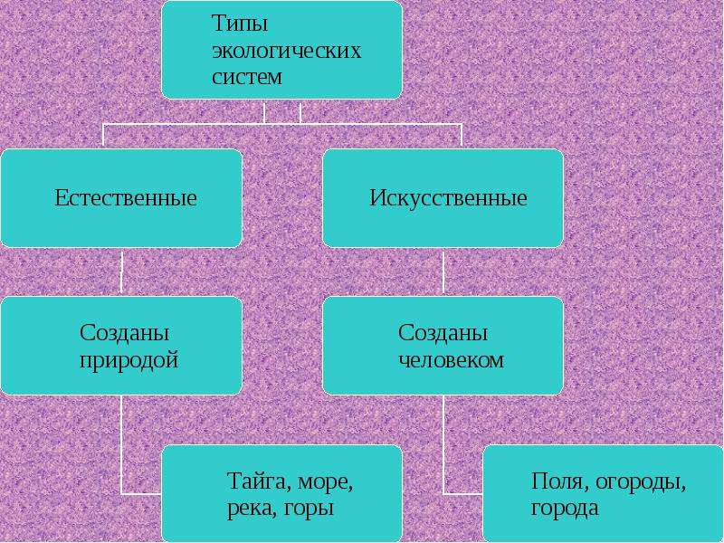 Презентация экологические сообщества. Экологические сообщества 11 класс презентация биология. Экологические сообщества биология 11 класс. Схема искусственного сообщества. Искусственные сообщества 5 класс.