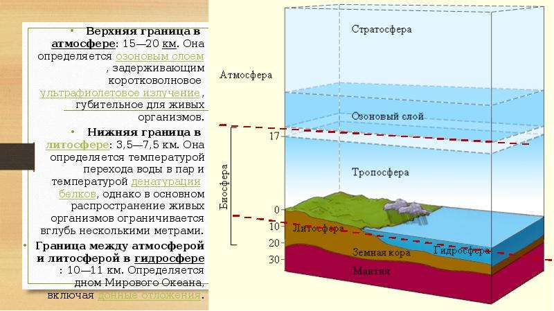 Презентация биосфера глобальная экосистема 11 класс биология