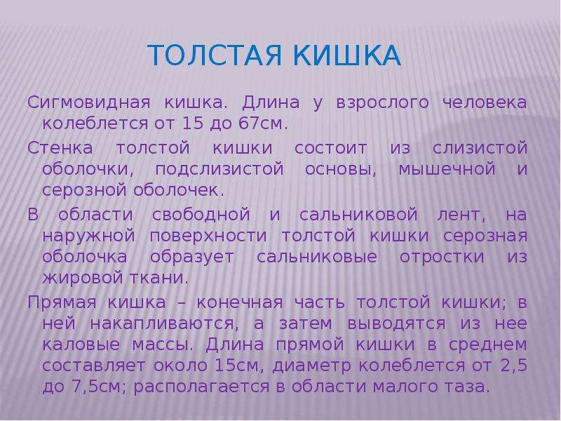 Кишечник длина. Длина Толстого кишечника взрослого человека. Длина толстой кишки у взрослого человека. Длина тонкой кишки у взрослого человека. Сколько длина Толстого кишечника у взрослого человека.