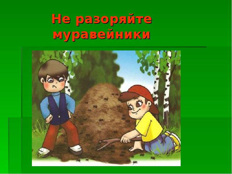 Не разоряй муравейники картинка