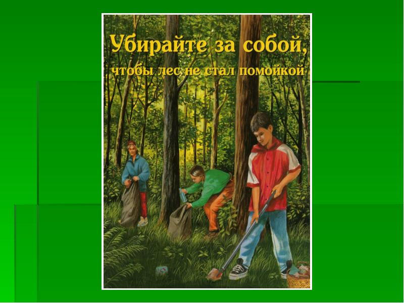 Лес и человек 4 класс окружающий мир презентация школа россии никифорова