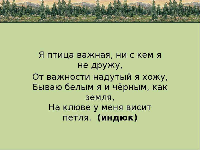 Идешь бывало. Я важная птица хотя и мала. Загадка ни зверь ни птица. Загадка по какому зверю мы ходим. Стихотворение я надул с утра полшины.