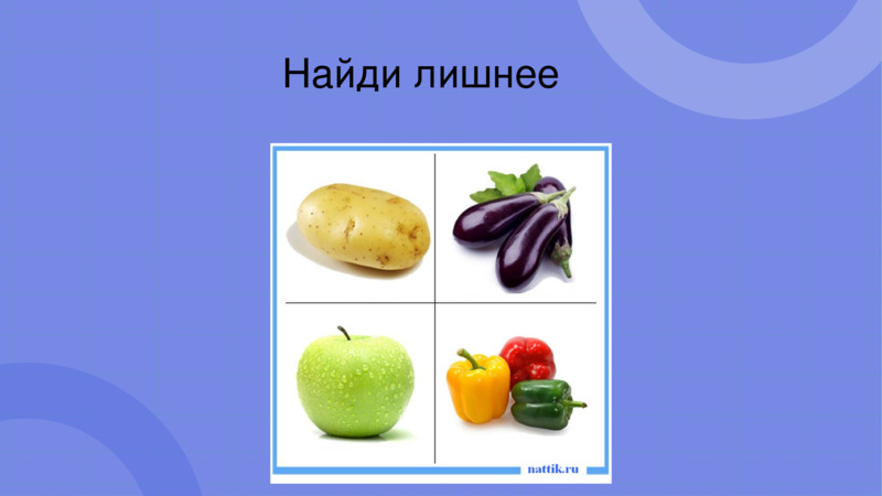 Овощи и фрукты – полезные продукты., слайд №13