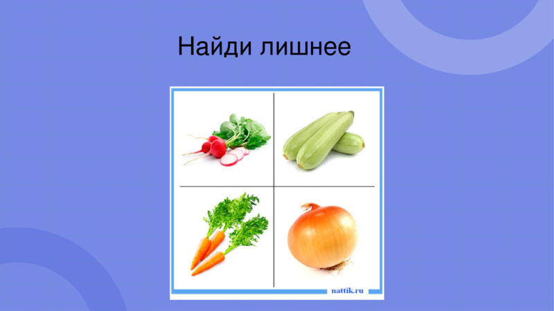 Овощи и фрукты – полезные продукты., слайд №14