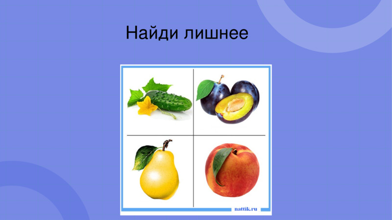 Овощи и фрукты – полезные продукты., слайд №16