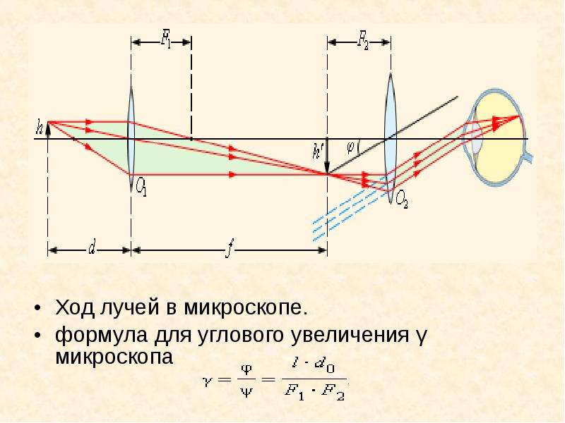 Чертеж ход лучей в лупе