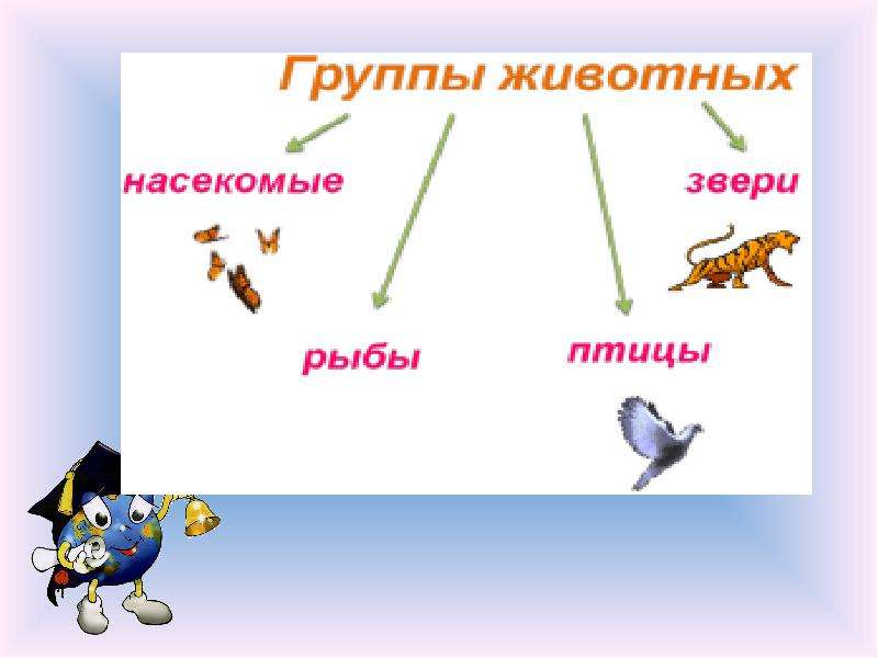 Как живут животные. Группы животных 1 класс. Как живут животные 1 класс школа России презентация. Группы животных 1 класс видеоурок. Как живут животные урок 1 класс школа России.