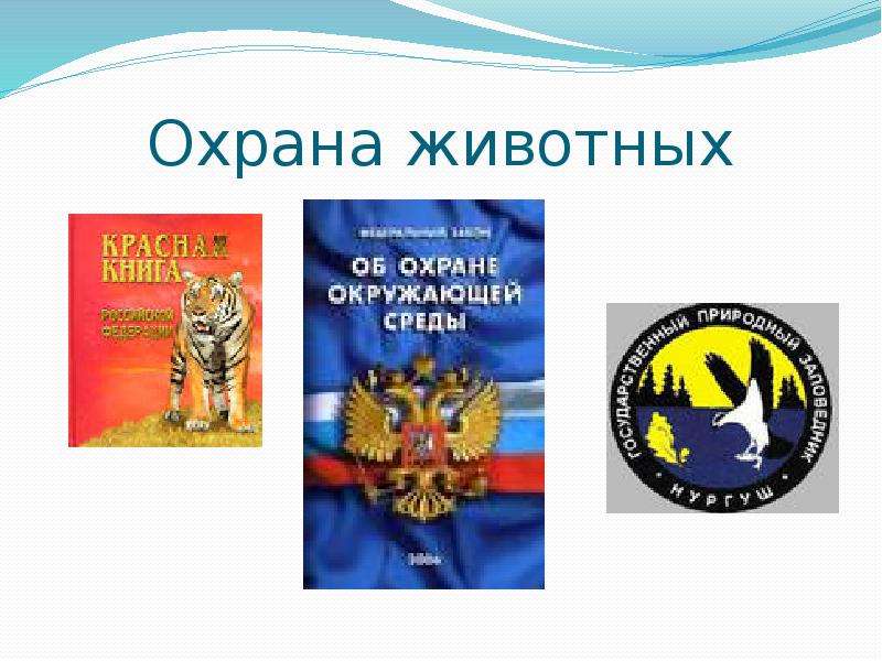 Презентация на тему законы россии об охране животного мира система мониторинга