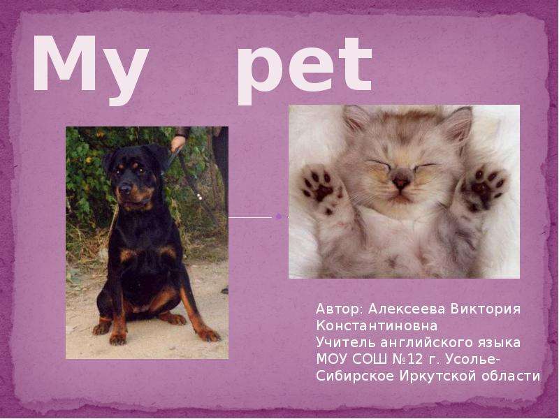 Проект my pet 2 класс