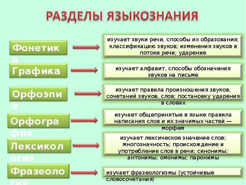 Наука о предложениях. Фонетика Графика орфоэпия. Фонетика орфоэпия Графика орфография. Что изучает фонетика и орфоэпия. Что изучает фонетика Графика и орфоэпия.