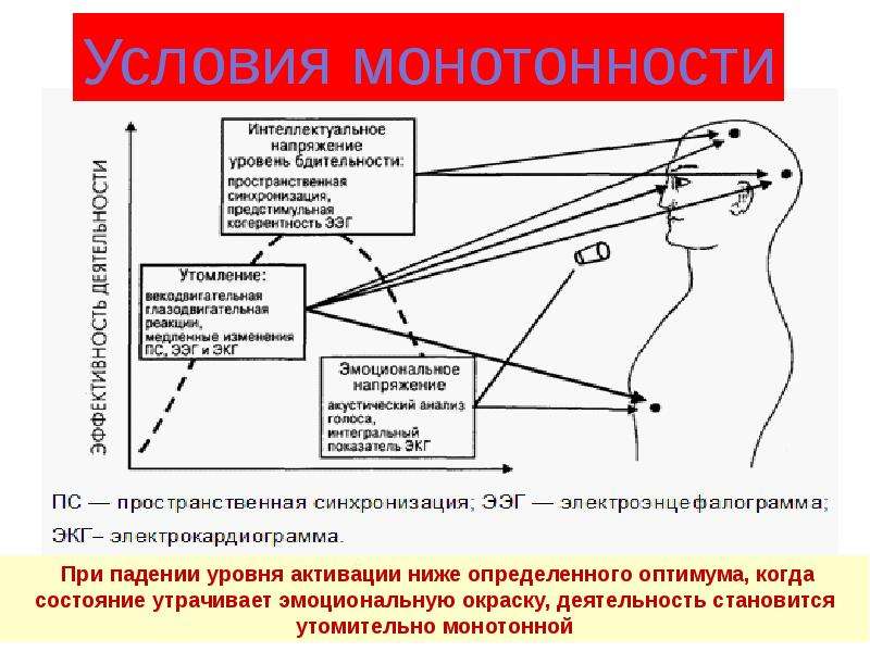 Психофизиология в схемах и комментариях психофизиология