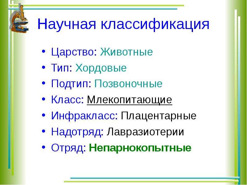 Презентация отряды млекопитающих парнокопытные непарнокопытные 7 класс