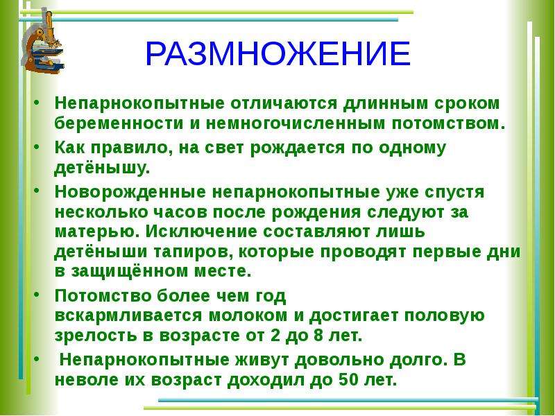 Отряды парнокопытные и непарнокопытные презентация 7 класс