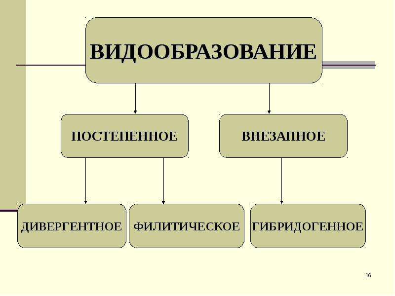 Видообразование 9 класс презентация