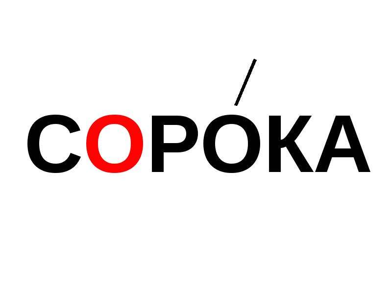 Картинка сорока словарное слово