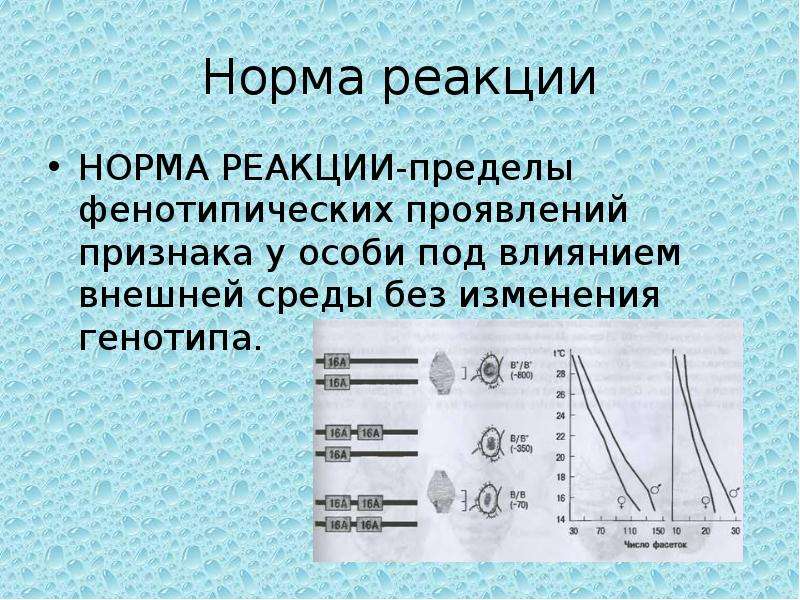 Какая нормальная реакция. Норма реакции. Норма реакции это пределы изменения генотипа. Норма реакции это в генетике. Норма реакции это пределы.