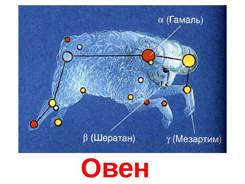 Созвездие овен картинки