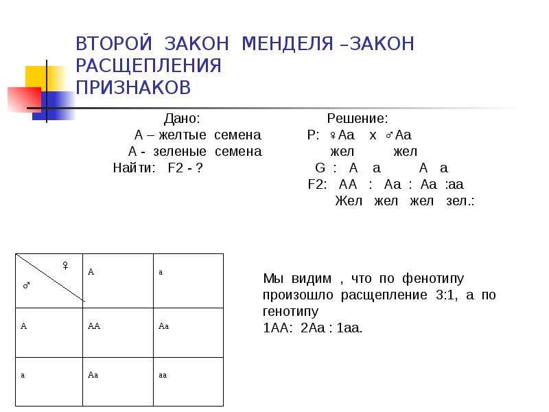 Первый закон менделя презентация 9 класс