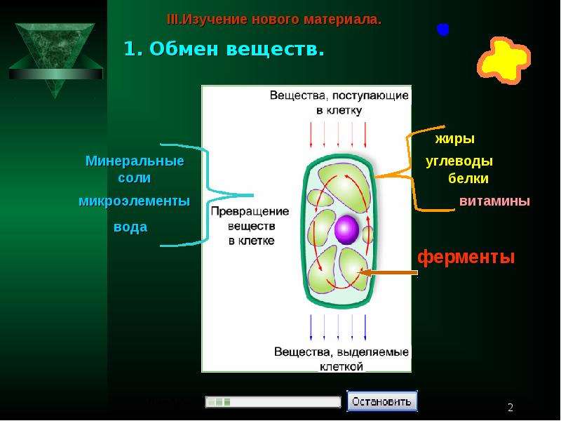 Презентация обмен веществ в клетке превращение энергии в клетке