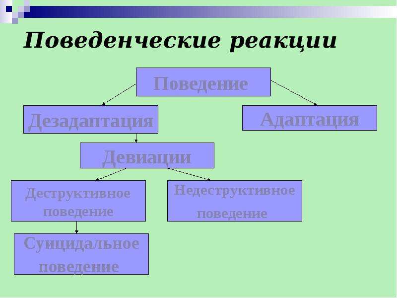 Поведенческие реакции. Типы поведенческих реакций. Примеры поведенческих реакций животных. Простая поведенческая реакция.