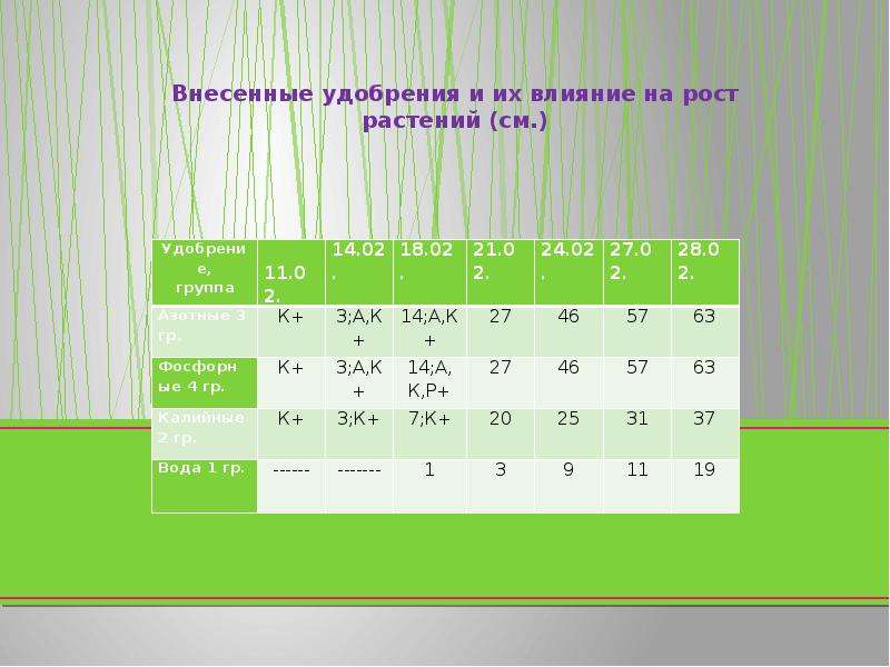 Влияние удобрений на рост и развитие растений проект