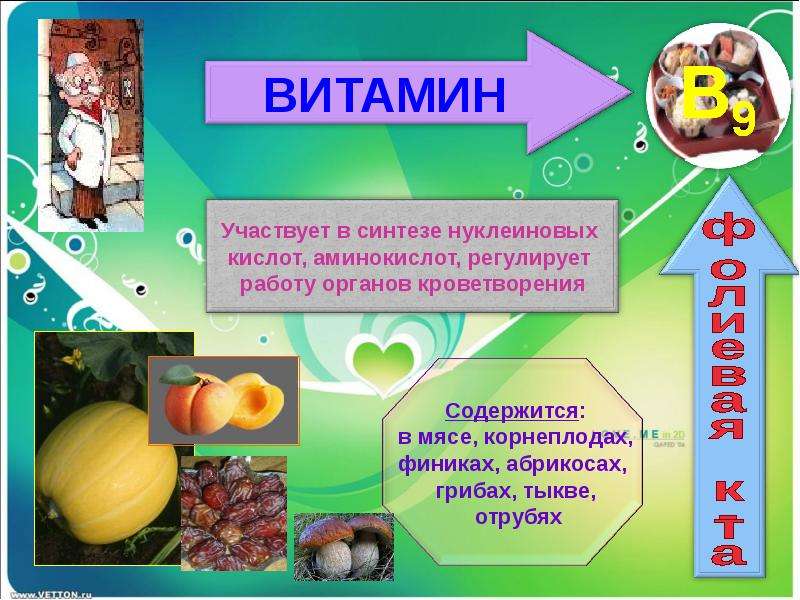 Витамины 9 класс презентация