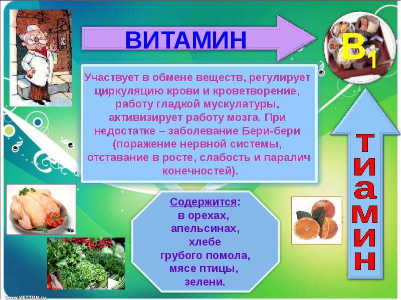 Витамины в жизни человека проект 10 класс