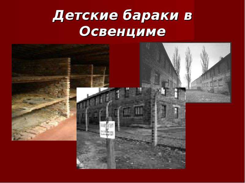 Бараки освенцима. Рисунки в детском бараке Аушвиц. Барак номер 25 в Освенциме. Детский Барак Освенцима фото на экран.