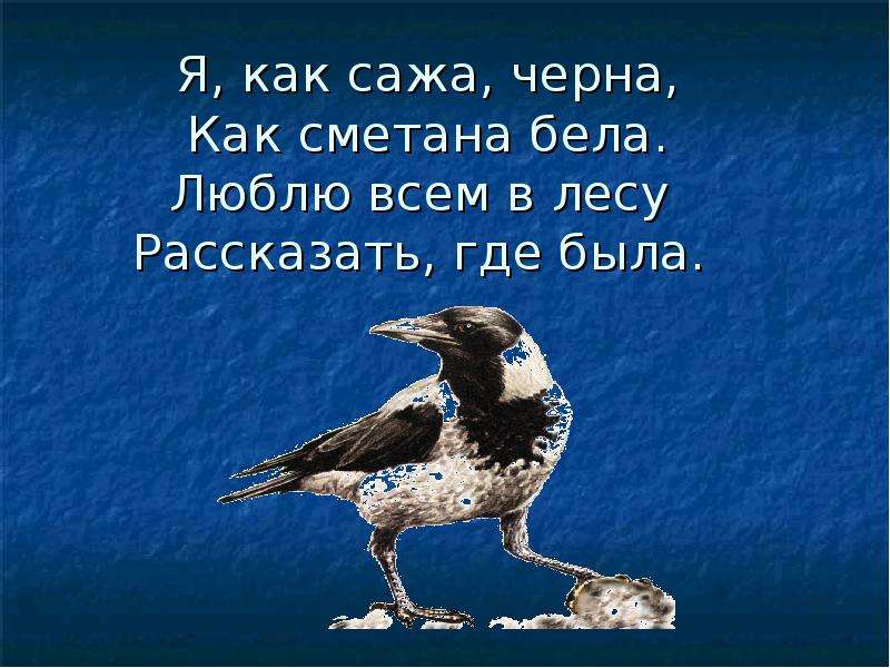 Бела значит. Дела как сажа. Как сажа бела. Картинка как сажа бела. Как сажа Черна как сметана бела люблю всем в лесу.