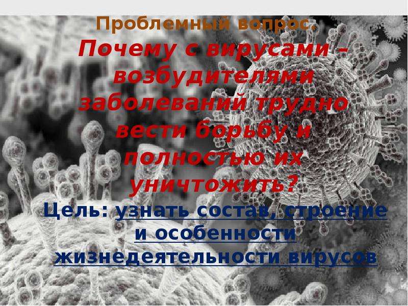 Презентация на тему вирусы. Особенности жизнедеятельности вирусов. Вопросы на тему вирусы. Спасибо за внимание для презентации вирусы. Презентация на тему вирусы беда 21 века.