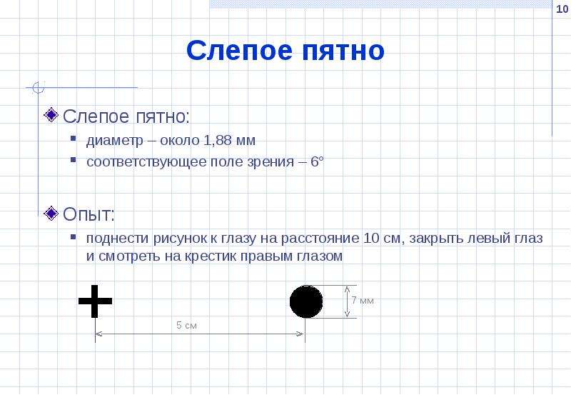 Изображение может исчезнуть если оно попадает на слепое пятно