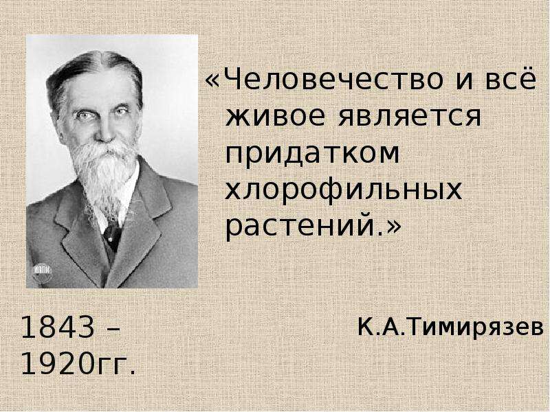 Космическая роль зеленых. Тимирязев Космическая роль растений. Космическая роль зеленых растений в работах Тимирязева. Космическая роль растения лекция Тимирязева. К.А. Тимирязев его теория о космической роли растений.