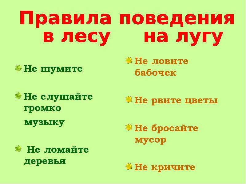 Почему нужно соблюдать тишину в лесу 1 класс презентация