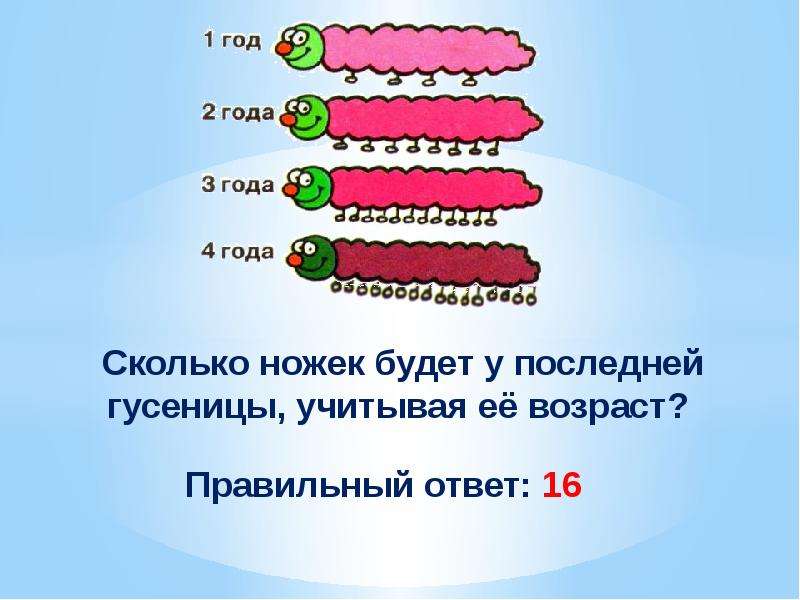 Сколько ног есть. Сколько ног у гусеницы. Сколько ножек у гусеницы. Сколька у гусиницы НОК. Сколько ног у гусеницы ответ.