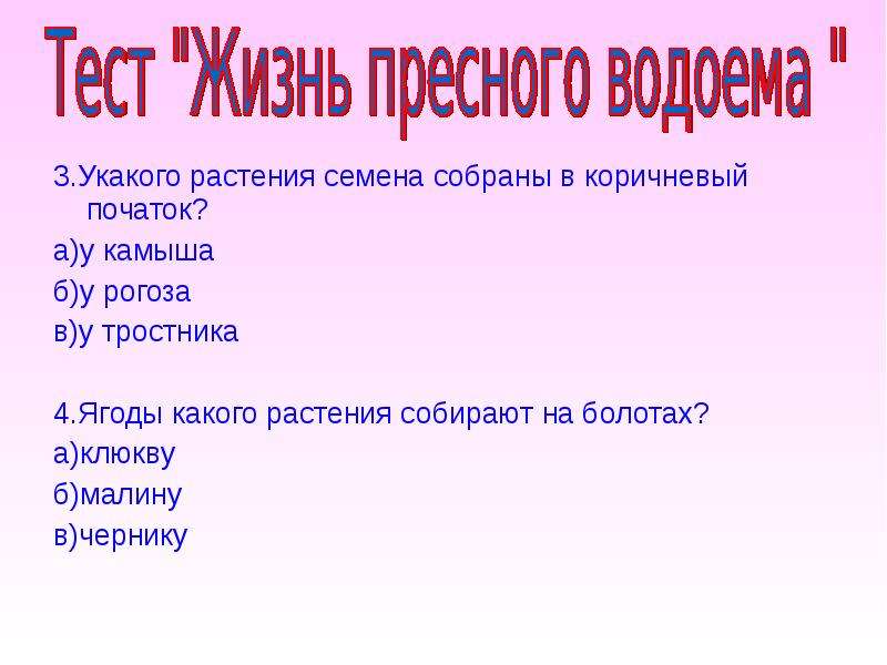 Панова презентации по окружающему миру 4 класс