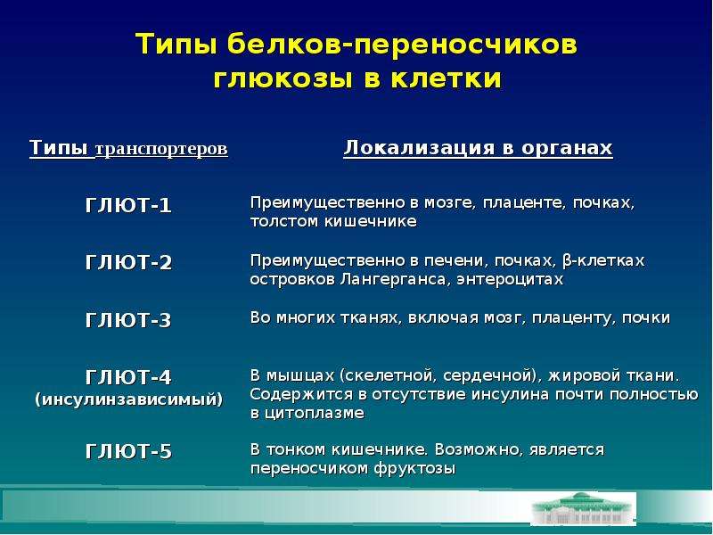 Типы белка. Типы белков. Типы белков переносчиков. Нарушение углеводного обмена в клетке. Локализация переносчиков Глюкозы.