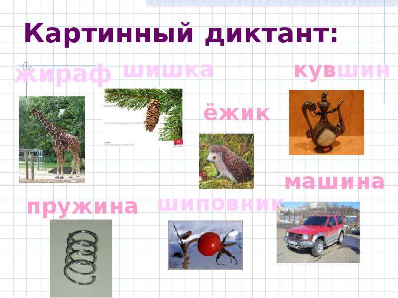 Картинный текст. Картинный диктант. Картинный диктант жи ши. Картинный диктант 1 класс. Картинный диктант по русскому языку.