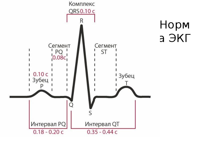 Calculadora frecuencia cardiaca ecg