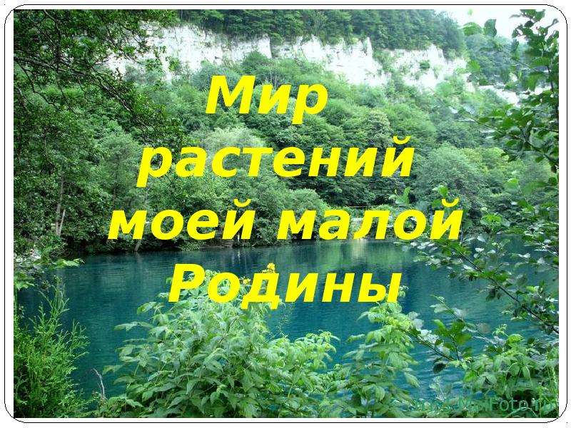 Нет в мире краше родины нашей проект