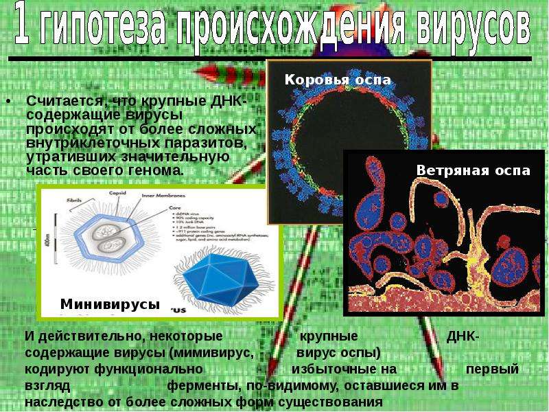 Теории происхождения вирусов презентация