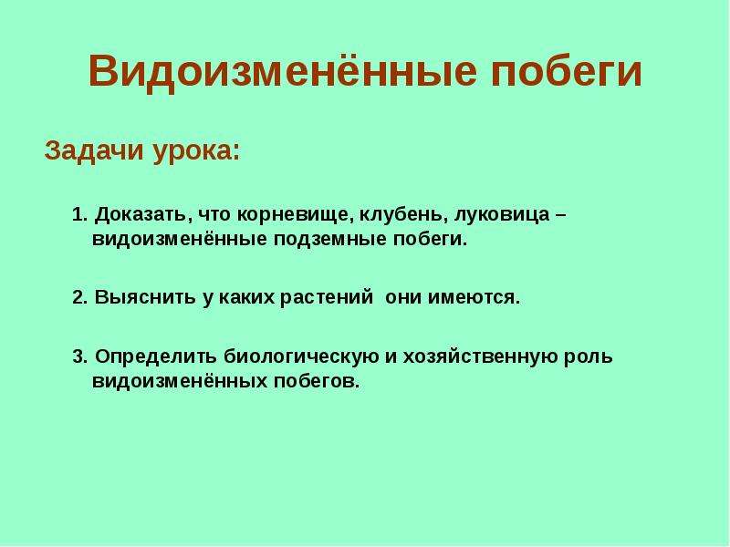 Докажите что клубень видоизмененный побег. Доказать что корневище клубень и луковица видоизмененные побеги. Доказать что корневище видоизмененный побег. Доказательство что корневище это видоизмененный побег. Вывод о видоизмененных побегах.