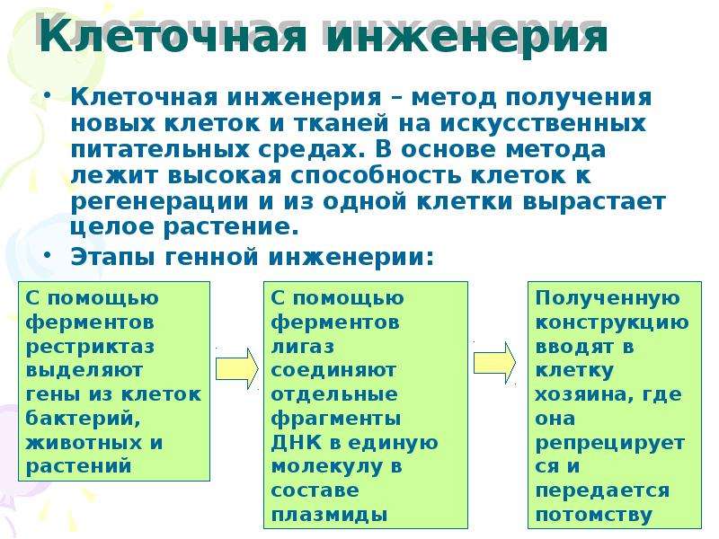 Генная инженерия и клеточная инженерия презентация