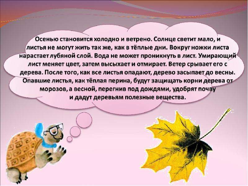 Став осень. Презентация что это за листья. Презентация что это за листья 1 класс. Окружающий мир 1 класс тема листья. Что это за листья окружающий мир 1 класс презентация.