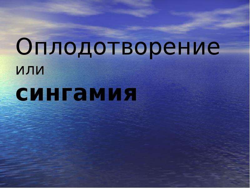 Сингамия