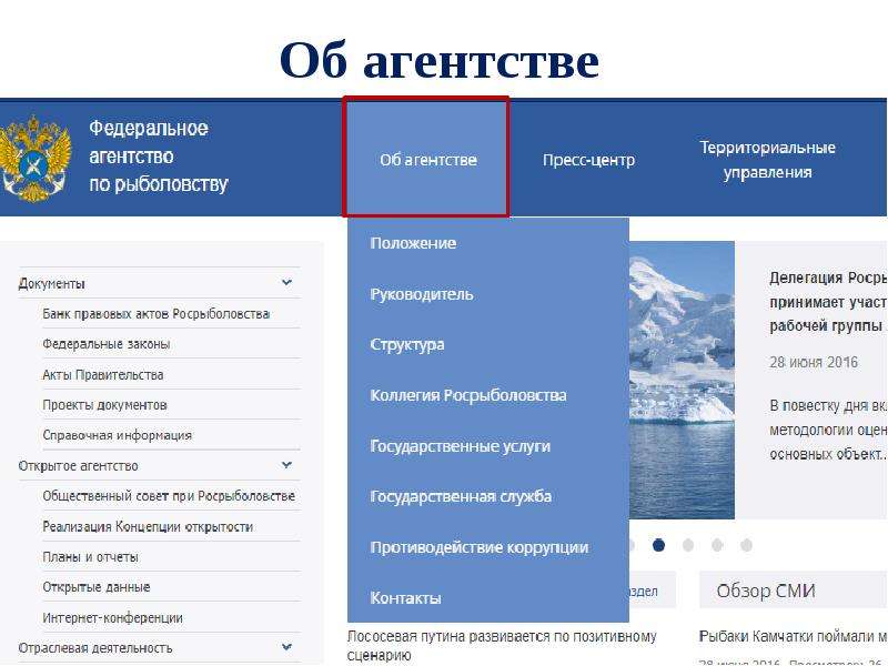 Федеральное агентство по рыболовству. Федеральное агентство по рыболовству функции и полномочия. Структура Росрыболовства. Федеральное агентство по рыболовству Росрыболовство структура. Федеральное агентство по рыболовству полномочия.