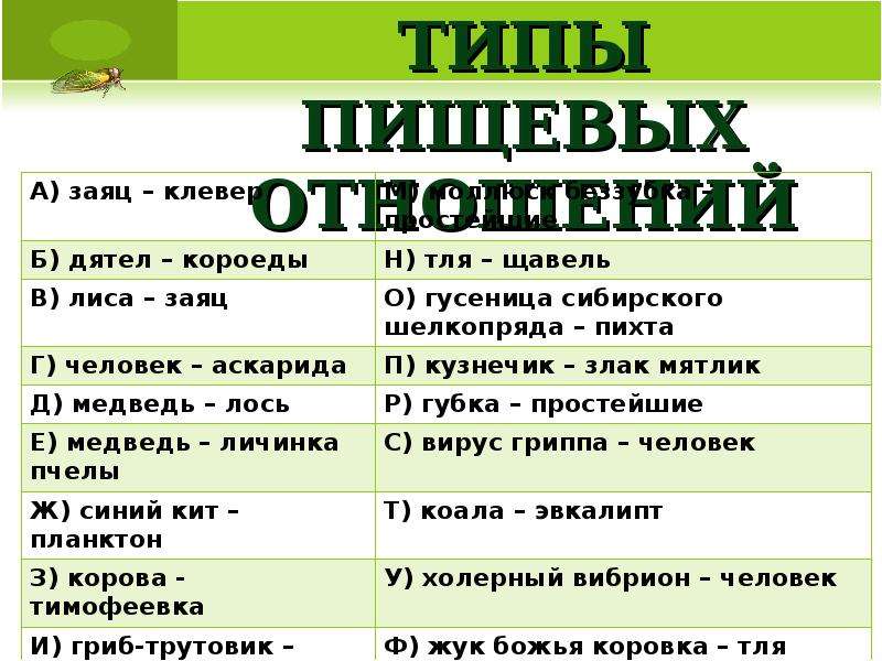 Назовите тип. Назовите типы пищевых отношений. Законы пищевых отношений. Законы пищевых отношений в природе. Заяц Клевер Тип пищевых отношений.