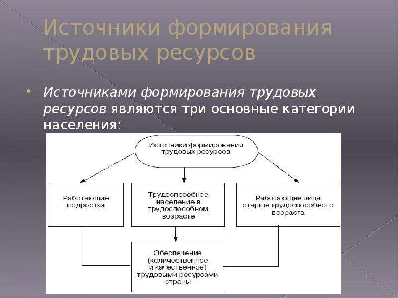 Процесс развития трудовых ресурсов. Источники трудовых ресурсов. Формирование трудовых ресурсов. Формирование трудовых ресурсов предприятия. Источники трудовых ресурсов предприятия.