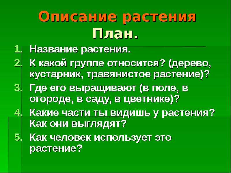 Составить план растения. План описания растения. Плун описаниерастения. Описание растения по плану. План рассказа о растении.