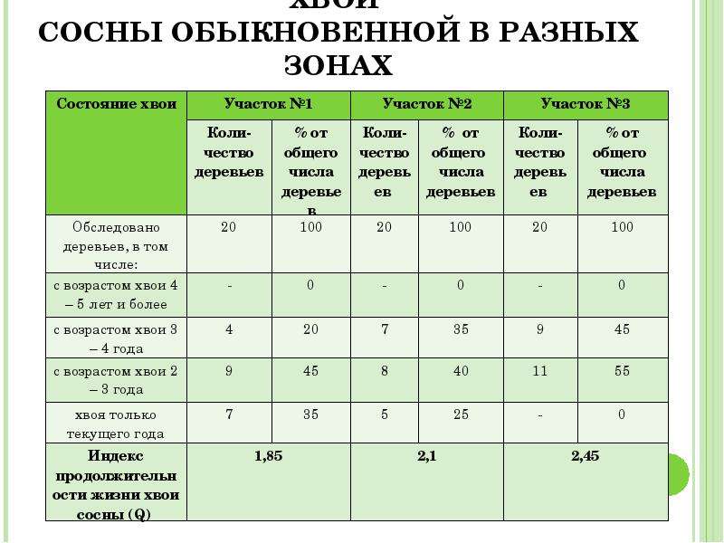 Продолжительность жизни хвоинок ель сосна лиственница